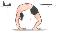 Cakrasana (Wheel Posture)